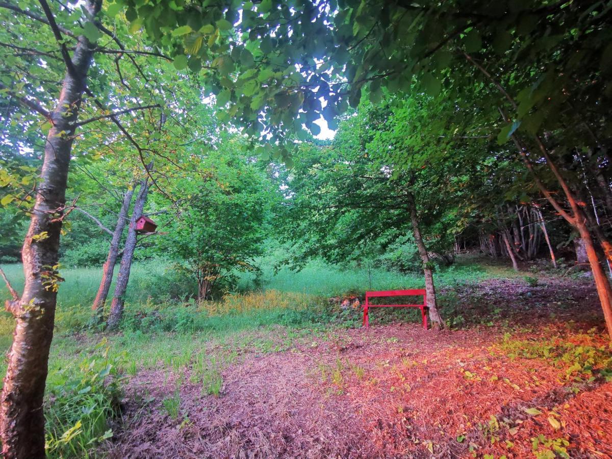 Holiday Home La Sierra Korenica Kültér fotó
